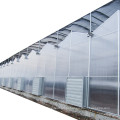 Folha de policarbonato agrícola multi -span Greenhouse